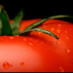 Grow your own Veg