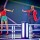 The Voice – The Battles