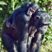 Do you think you are a great Mum?