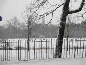 IMG_0035