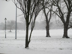 IMG_0038